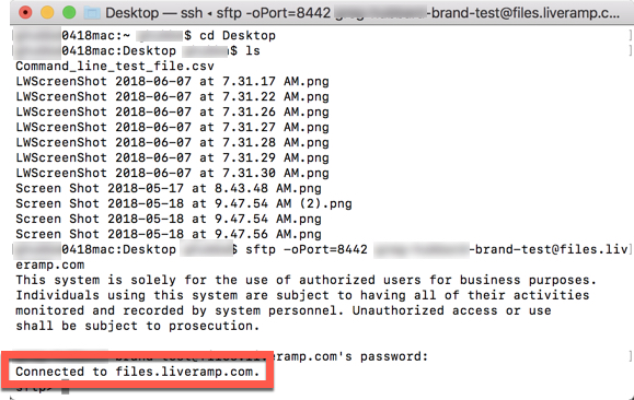 Command Line successful connection.jpg