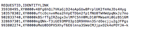 Consent Files IDL Example-KPw.jpg