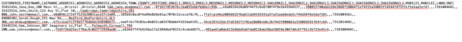 C-EMEA_File_Example.png