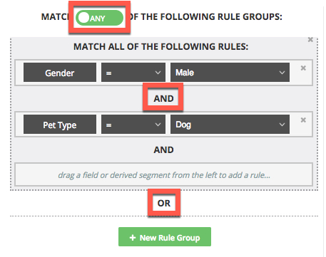 Derived Segment Match Type selector ANY.jpg